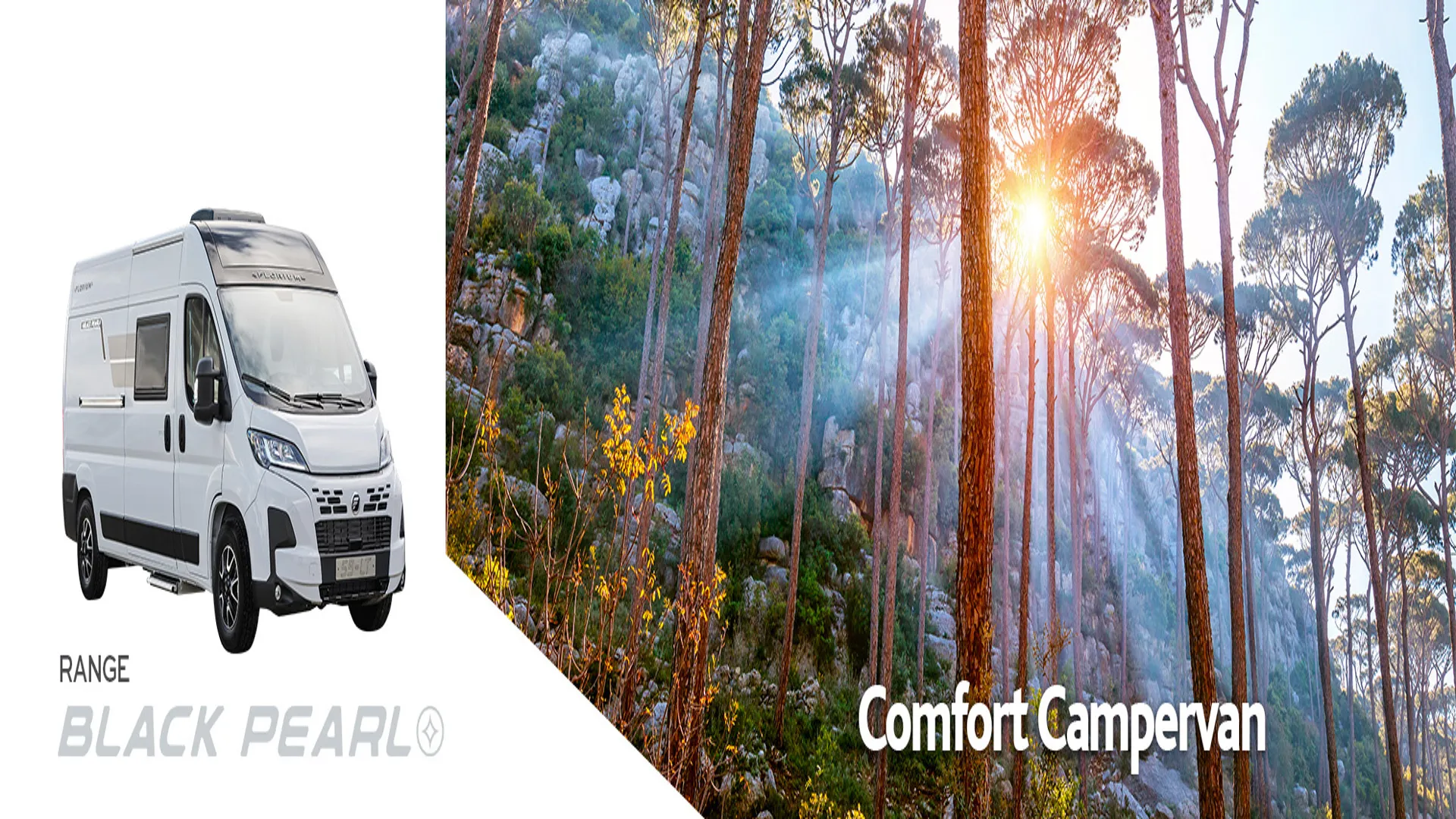 Florium Black Pearl Campervan