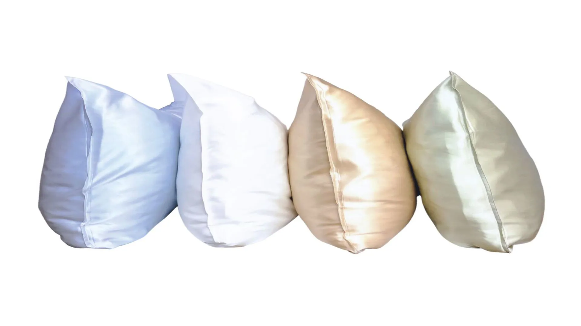 Mulberry Silk Pillows