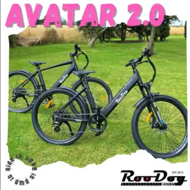 Roodog Electric Bikes Avatar Mtb