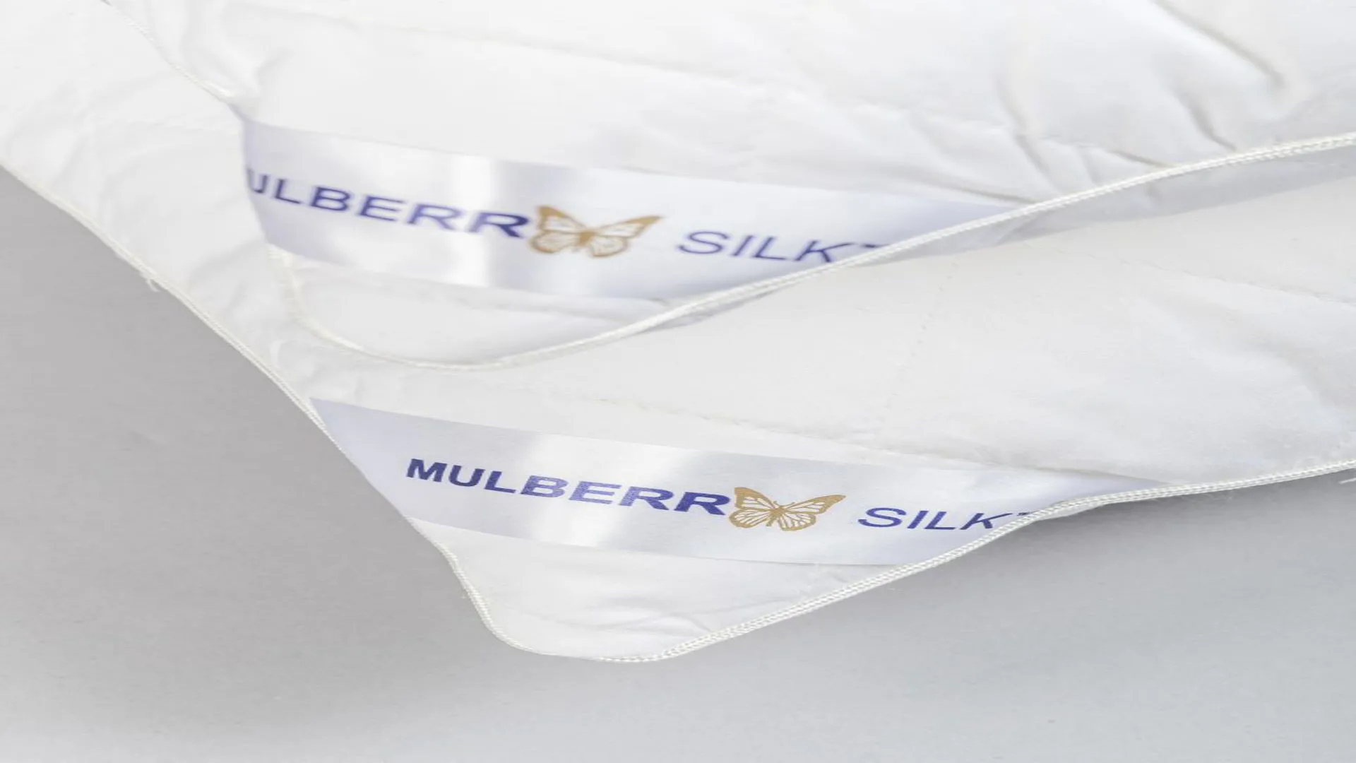 Mulberry Silk Pillow Range