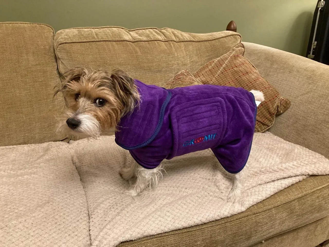 Groomit Arkay Sales 2