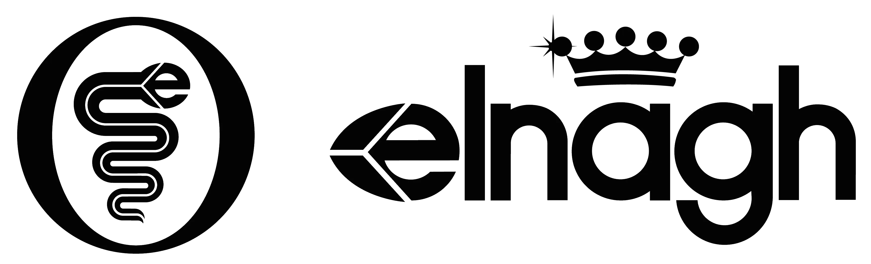 Elnagh Logo New 23.9