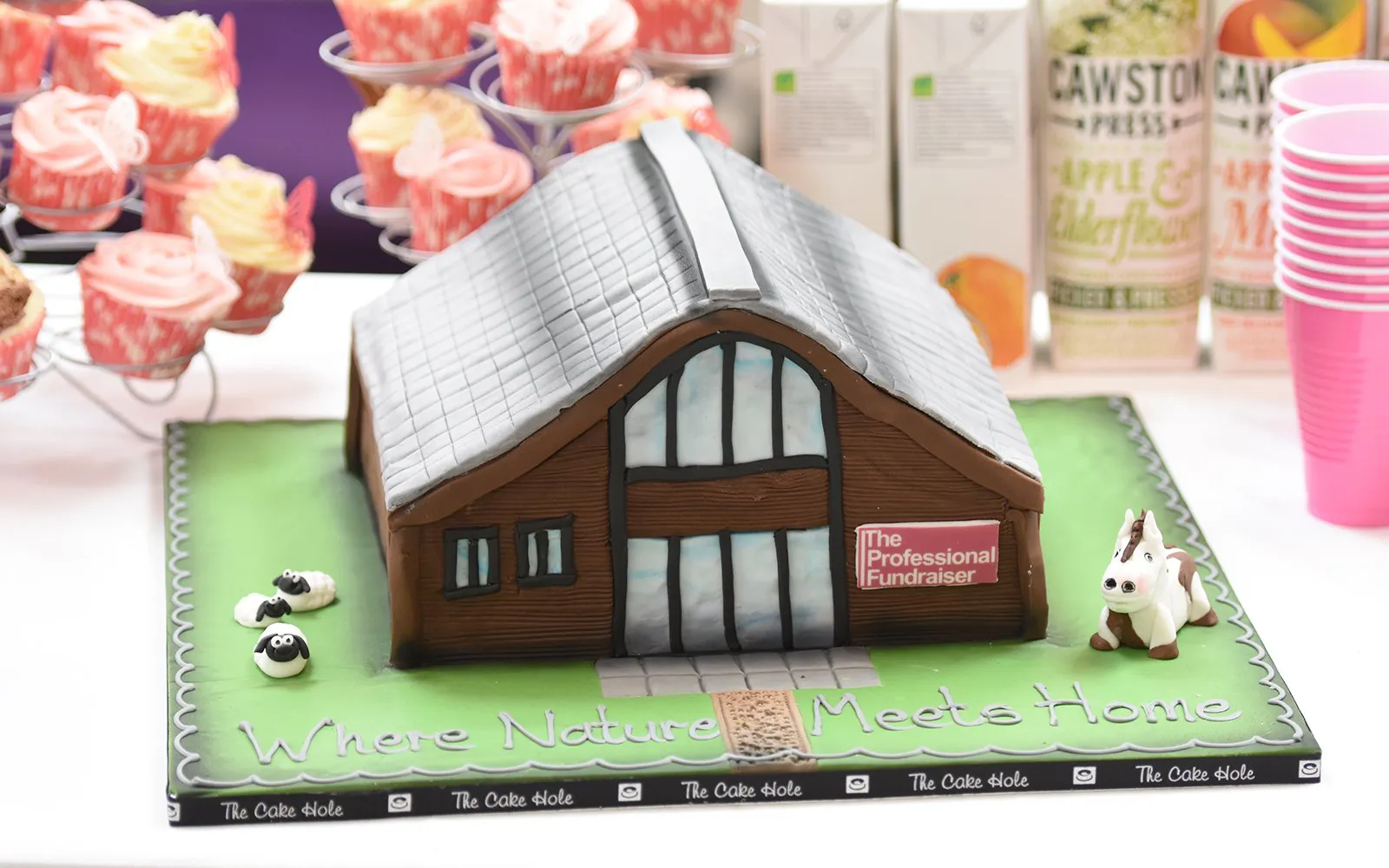 The Professional Fundraiser Activities.2